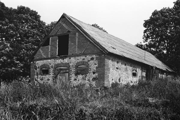 Ąžuolpamūšės dvaro kiaulidė. Vido Dulkės nuotrauka, 9 dešimtmetis